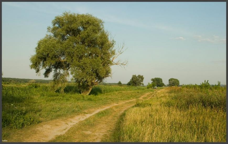 Деменці з panoramio.com - Dementsi