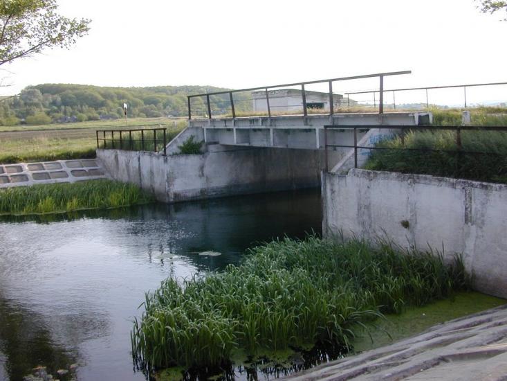 Деменці з panoramio.com - Деменцы