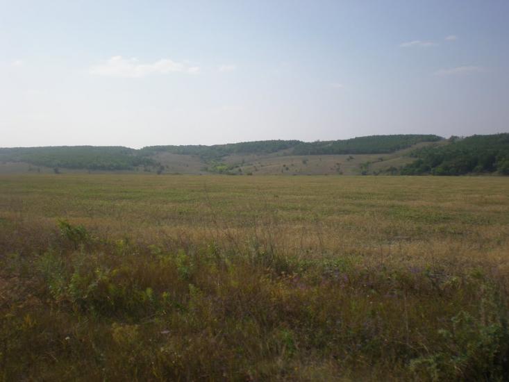 Радісне з panoramio.com - Радісне