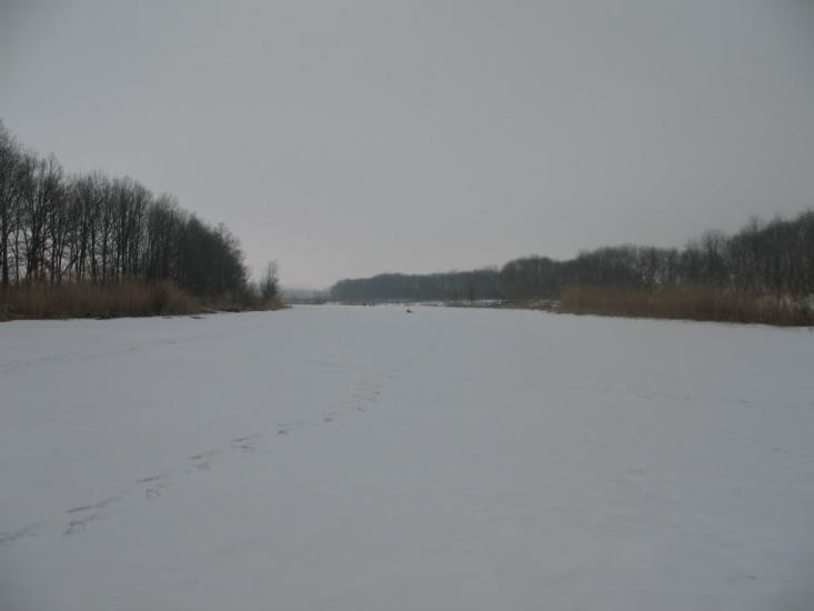 Комар з panoramio.com - Komar