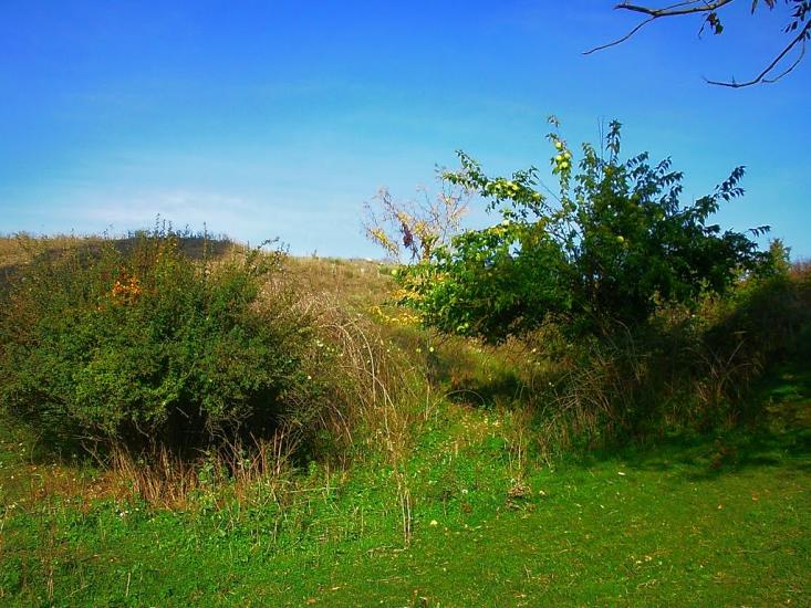 Трудове з panoramio.com - Trudove