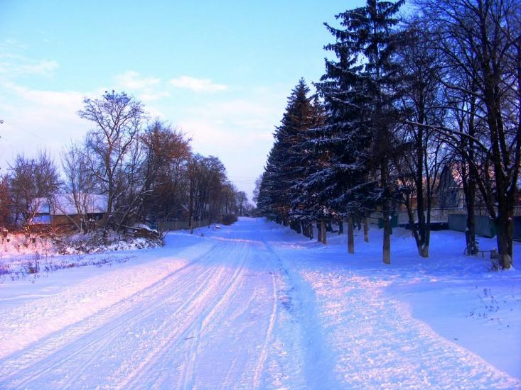 Вороне з panoramio.com - Вороное