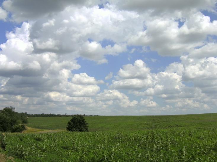 Павлопіль з panoramio.com - Павлопіль