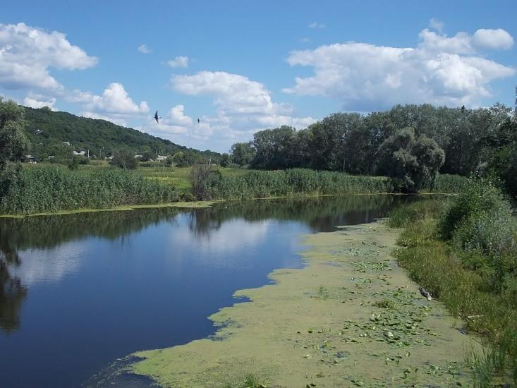 Кунцеве з panoramio.com - Кунцеве