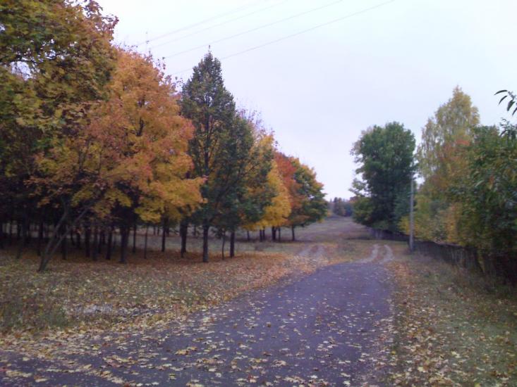 Рибальське з panoramio.com - Рибальське