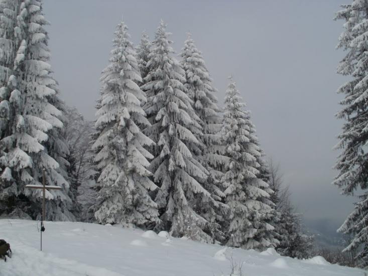 Стара Красношора з panoramio.com - Старая Красношора