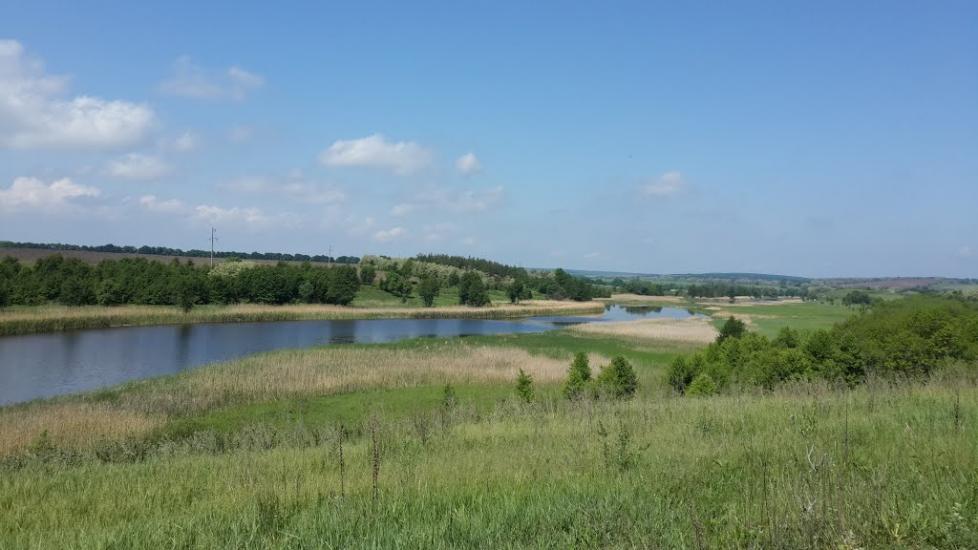 Половецьке з panoramio.com - Половецьке