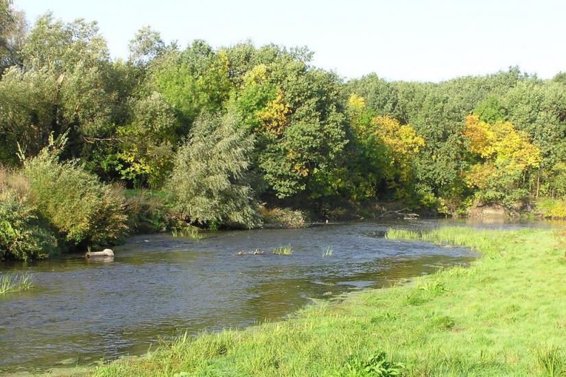 Підлісне з panoramio.com - Підлісне