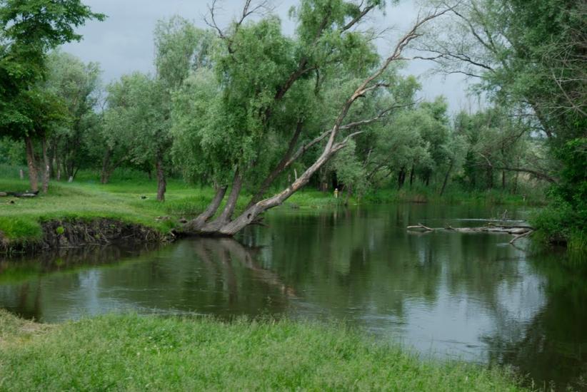 Новоайдар з panoramio.com - Новоайдар
