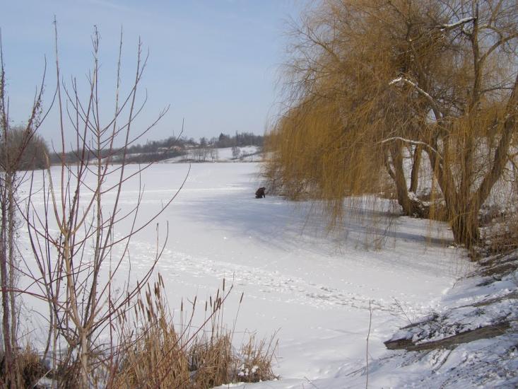 Мишарівка з panoramio.com - Мишарівка