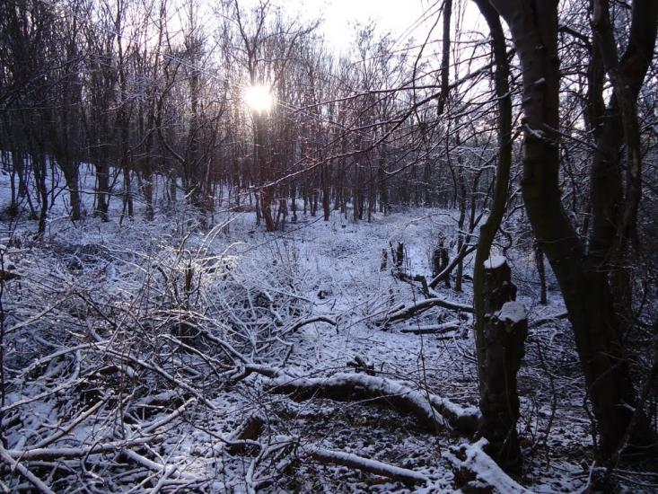 Красилів з panoramio.com - Красилів