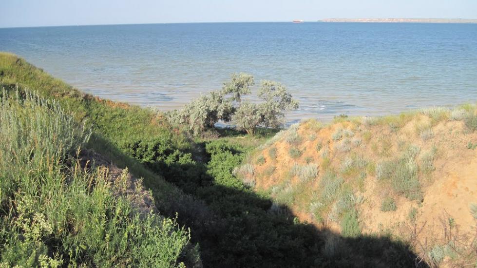 Лупареве з panoramio.com - Лупарево