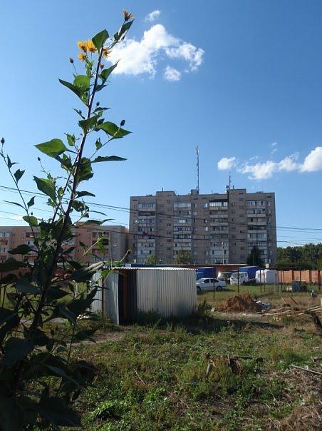 Усатове з panoramio.com - Усатове