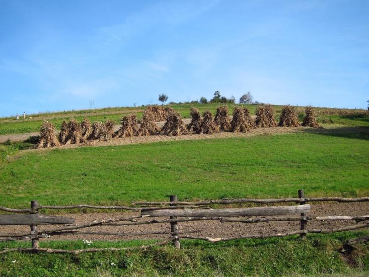 Біще з panoramio.com - Бище