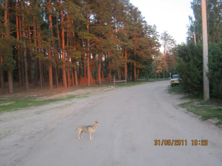 Короп з panoramio.com - Короп