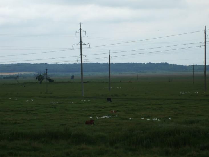 Ланівці з panoramio.com - Лановцы