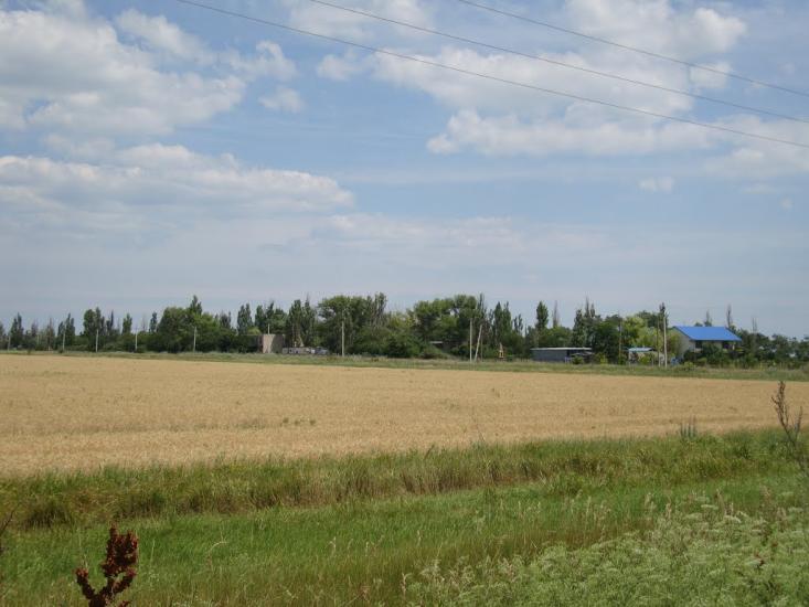 Орлівка з panoramio.com - Орловка