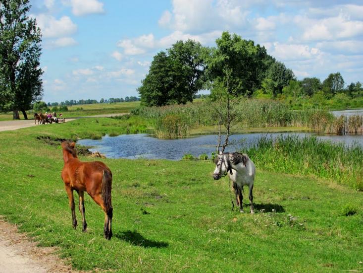 Четвертня з panoramio.com - Chetvertnya