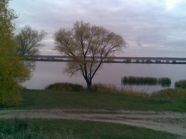 Лиман з panoramio.com - Лиман