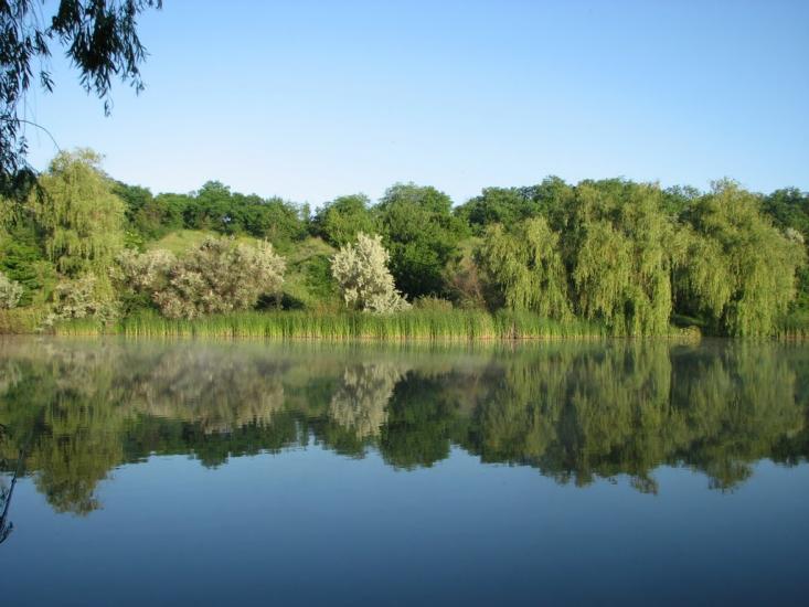 Клинці з panoramio.com - Клинці