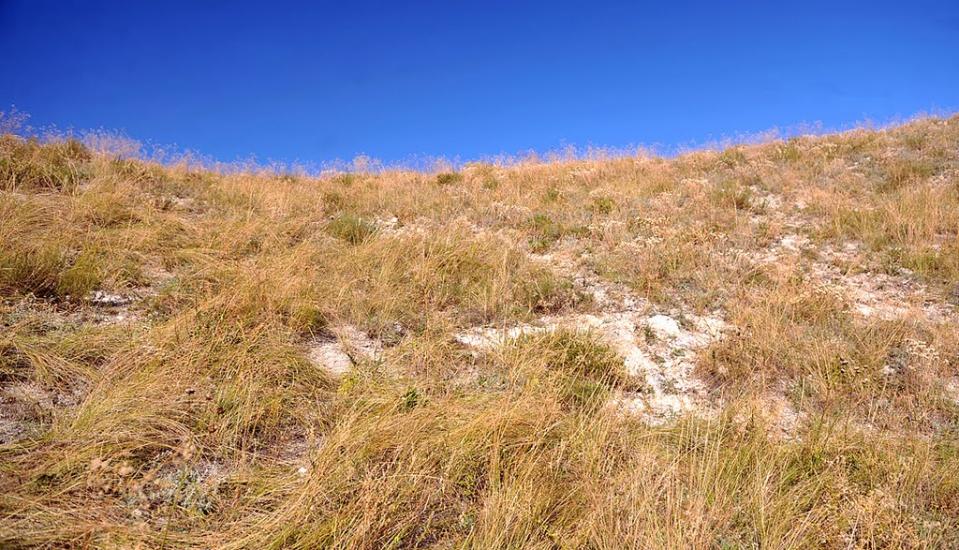 Білокузьминівка з panoramio.com - Білокузьминівка