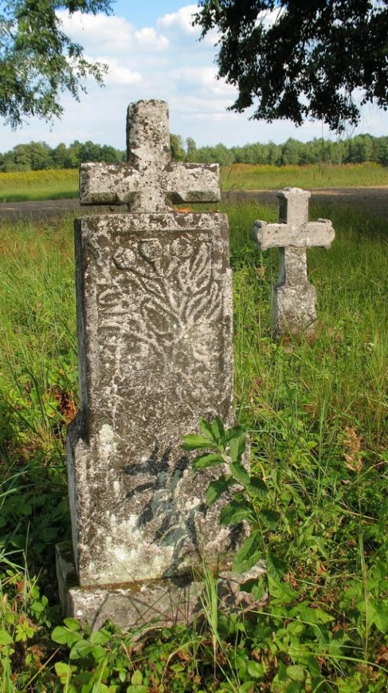 Колониці з panoramio.com - Колониці