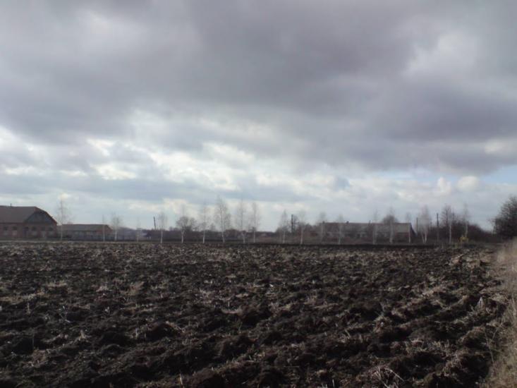 Веселий Гай з panoramio.com - Веселий Гай