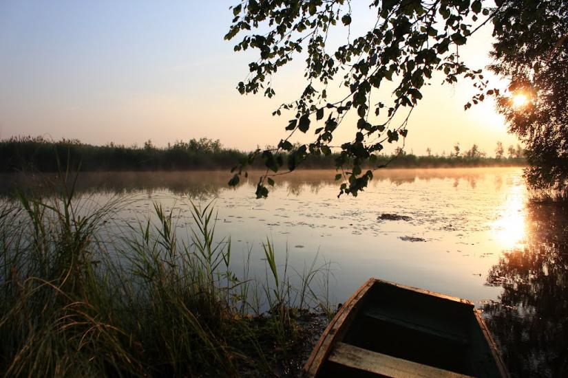 Жовтневе з panoramio.com - Жовтневе