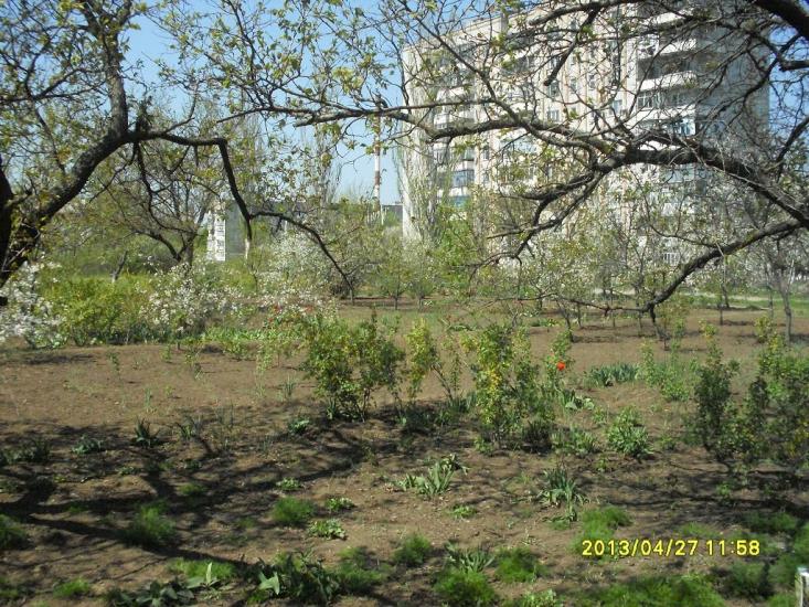 Токмак з panoramio.com - Токмак