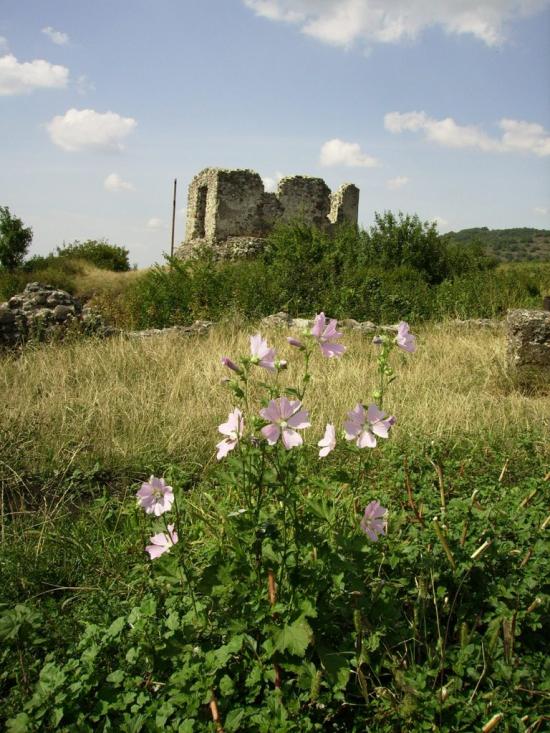 Виноградів з panoramio.com - Виноградов