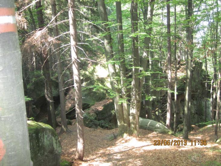 Хорови з panoramio.com - Хоровы
