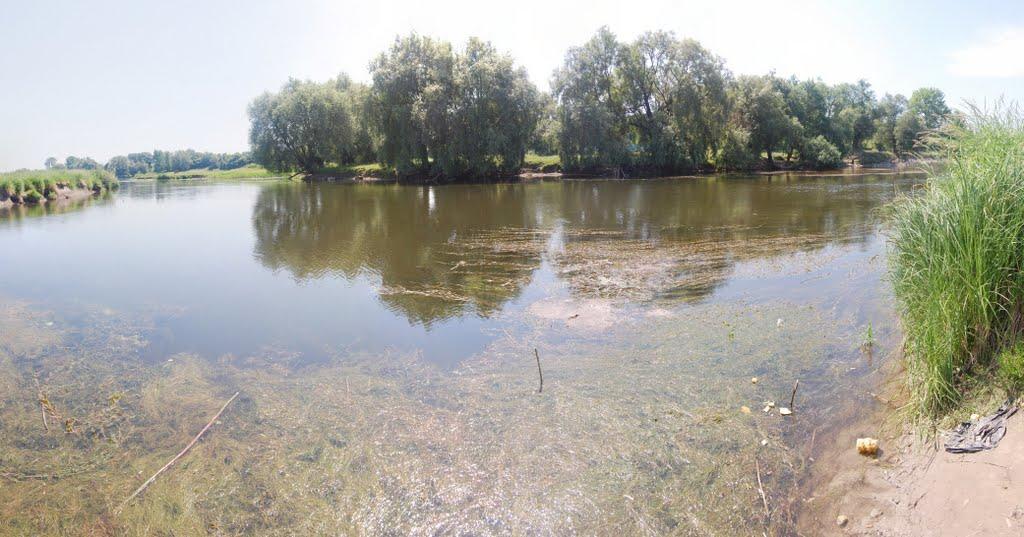 Хрінники з panoramio.com - Khrinnyky