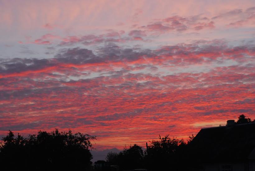 Дерно з panoramio.com - Дерно