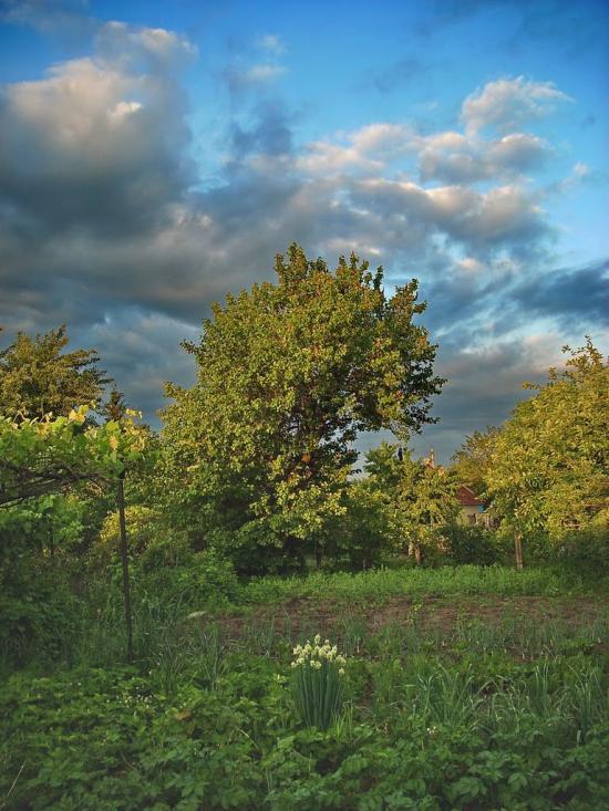 Ровеньки з panoramio.com - Ровеньки