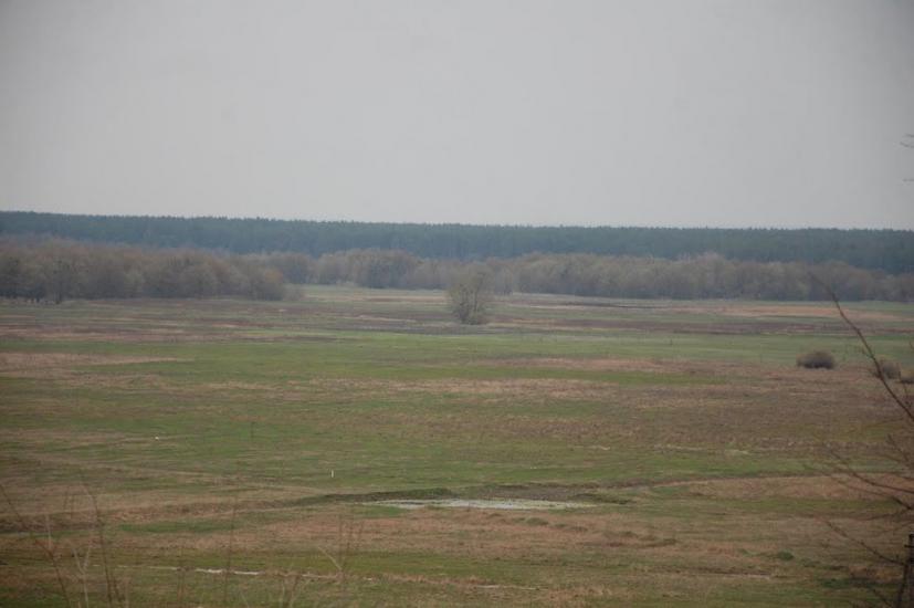 Хорошеве з panoramio.com - Хорошеве