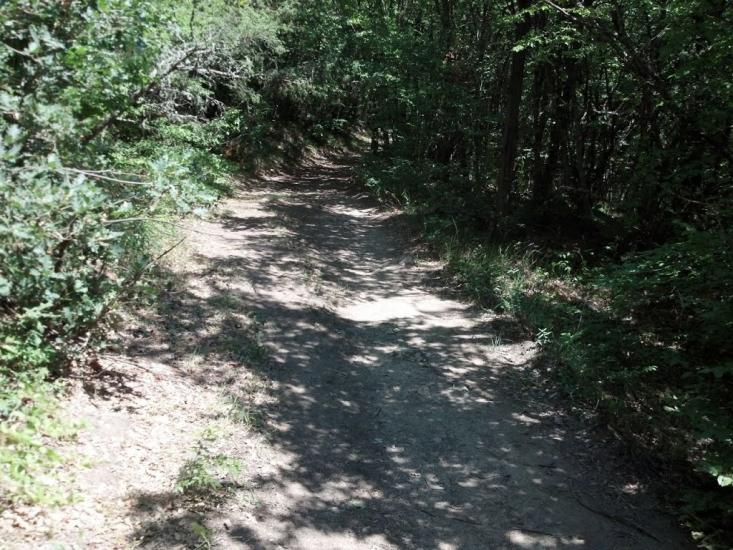 Гончарне з panoramio.com - Гончарне