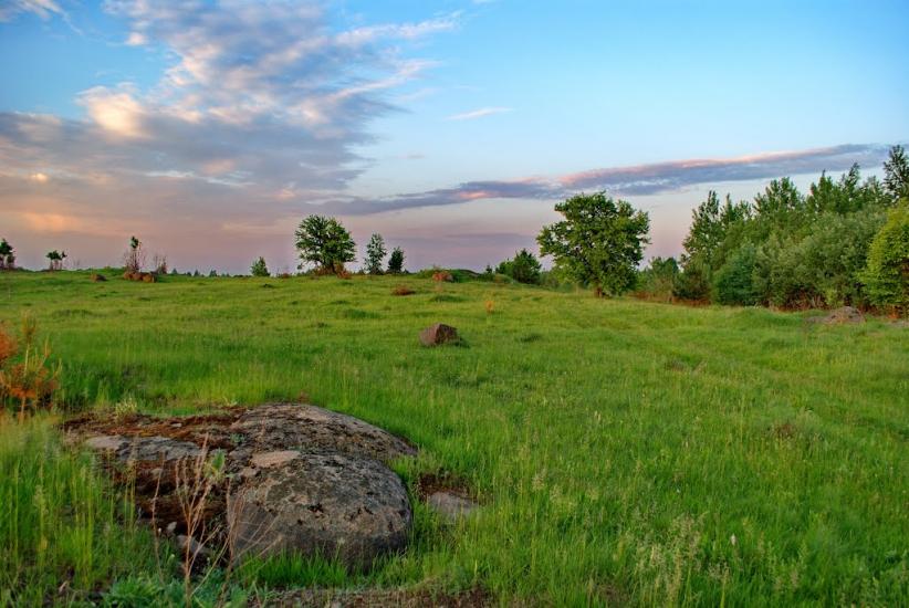 Буки з panoramio.com - Буки