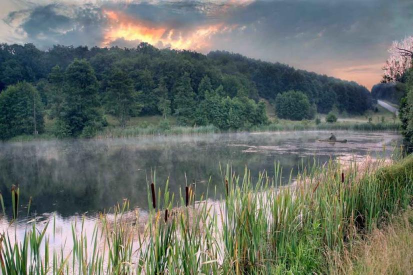 Гута з panoramio.com - Гута