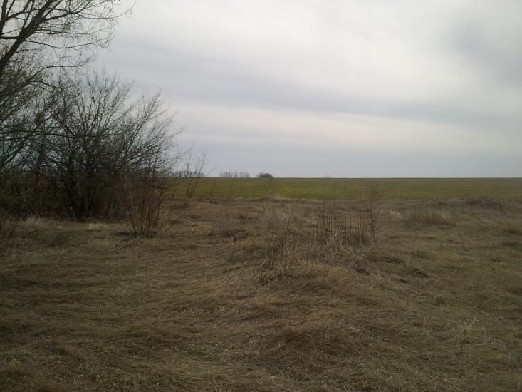 Білокузьминівка з panoramio.com - Білокузьминівка