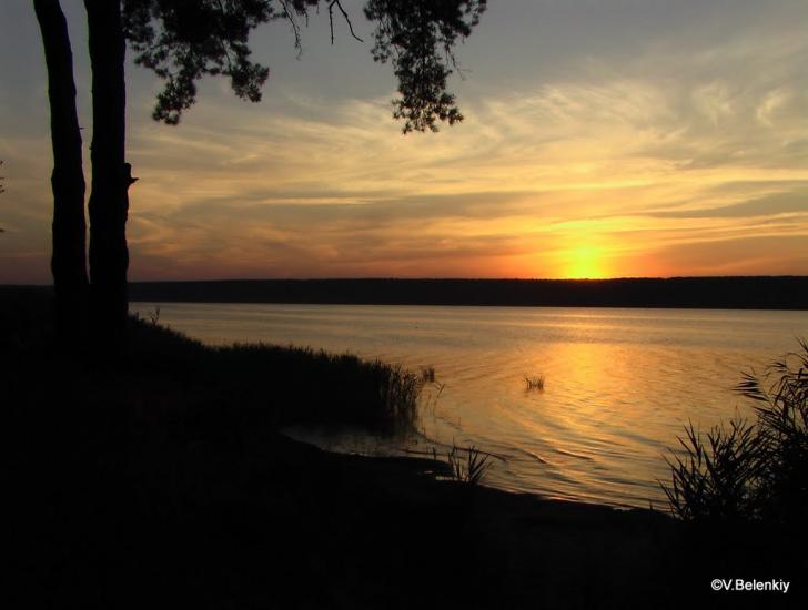 Піски-Радьківські з panoramio.com - Піски-Радьківські