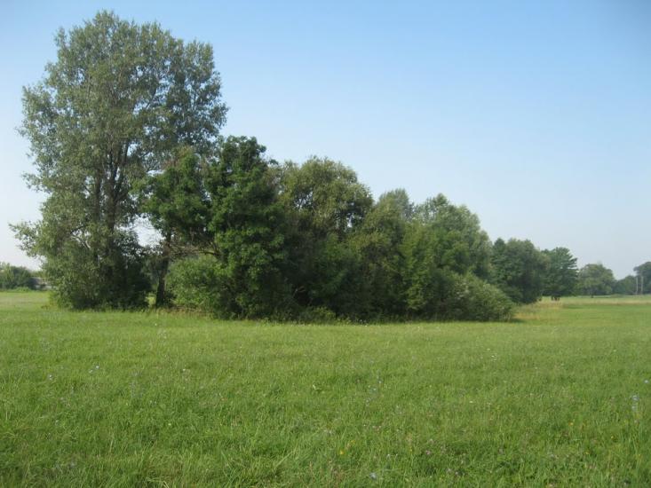 Білаші з panoramio.com - Білаші