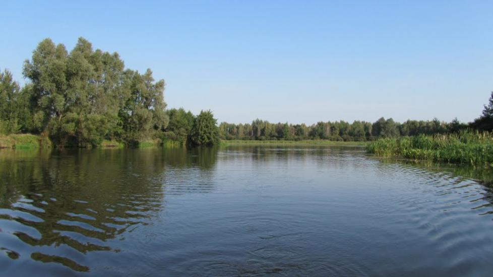 Прохорів з panoramio.com - Прохоров