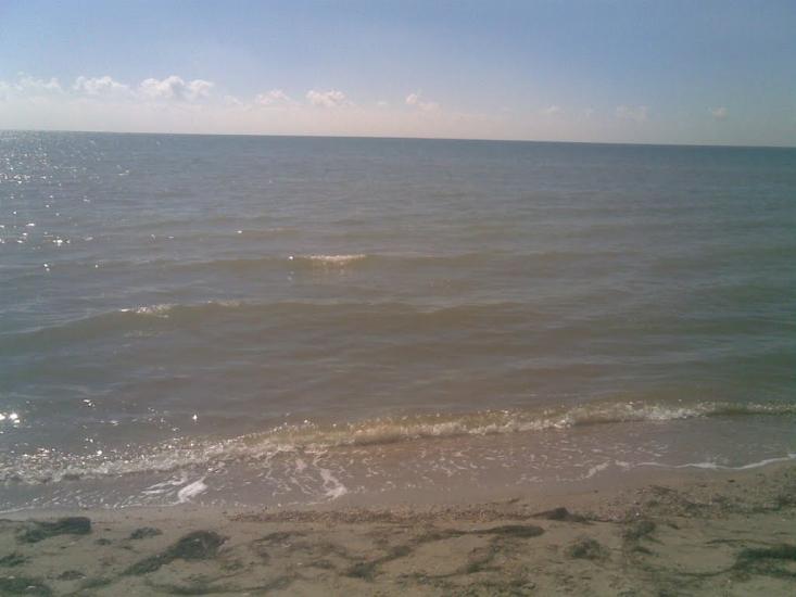 Орлівка з panoramio.com - Орловка