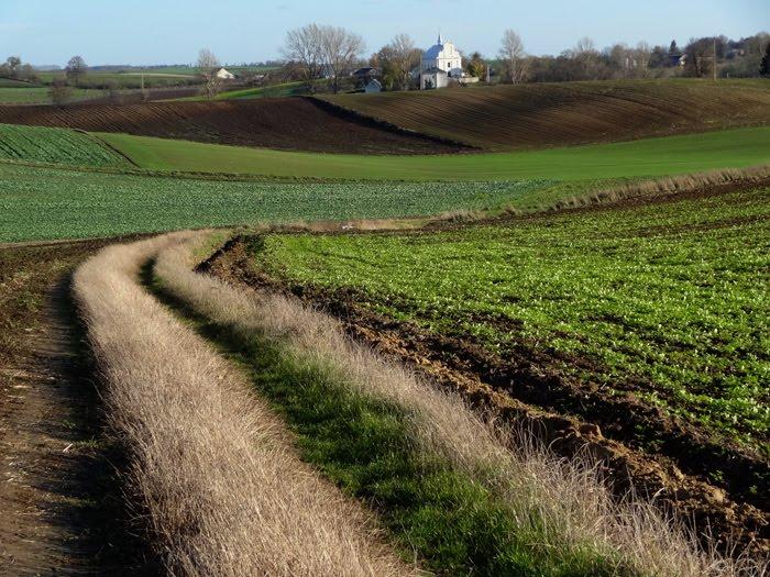 Корчів з panoramio.com - Корчів