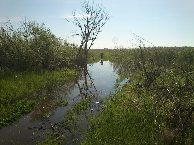 Літочки з panoramio.com - Літочки