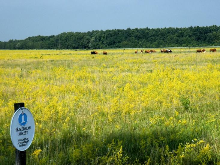 Галабор з panoramio.com - Galabor