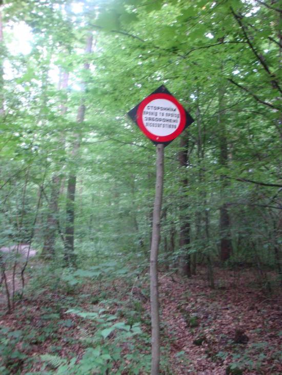 Великі Коровинці з panoramio.com - Великі Коровинці