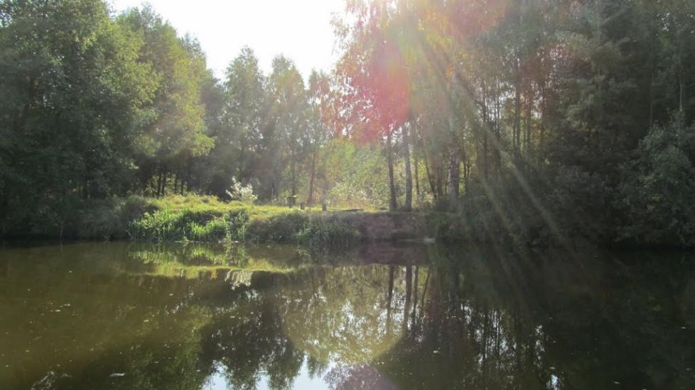 Прохорів з panoramio.com - Прохоров