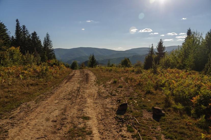 Щербовець з panoramio.com - Щербовец