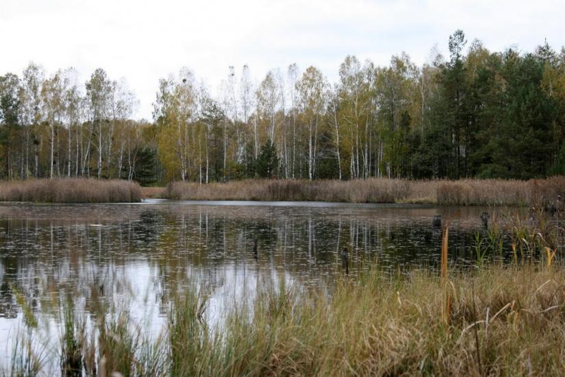 Жовтневе з panoramio.com - Жовтневе